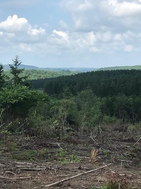7 County Road 963 Calhoun, TN 37309 - Photo 7 of 10