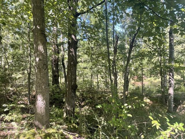 Lot 4 Skyview Road Mosinee, WI 54455 - Photo 17 of 17