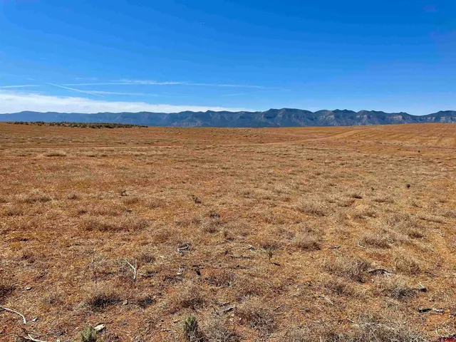a view of an ocean beach