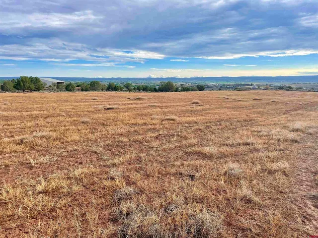 a view of city and ocean