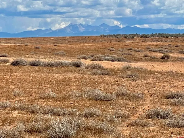a view of a dry yard