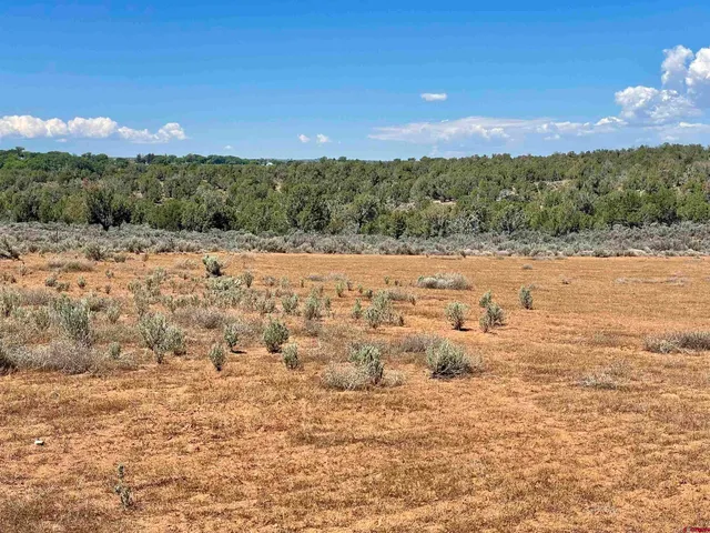 $304,470 | 3 Road K 3 Cortez Co 81321, Cortez, CO 81321