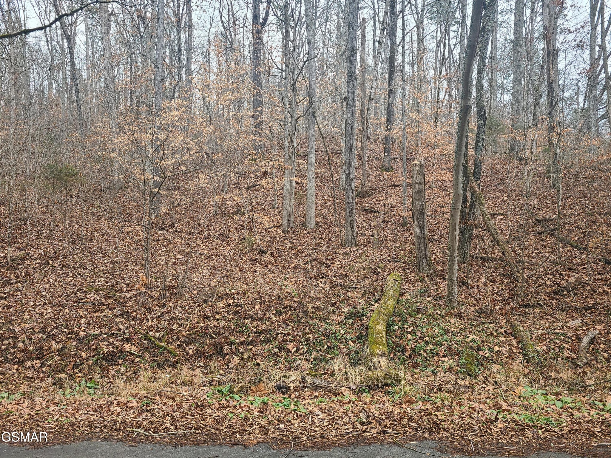 0 Keystown Road Luttrell, TN 37779 - Photo 1 of 5