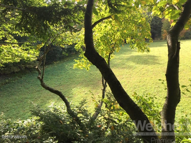 11280 Ellenton Mountain Road Shunk, PA 17768 - Photo 55 of 61 Land