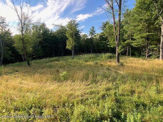 0 Bate Road Craryville, NY 12521 - Photo 9 of 10 IMG_6628