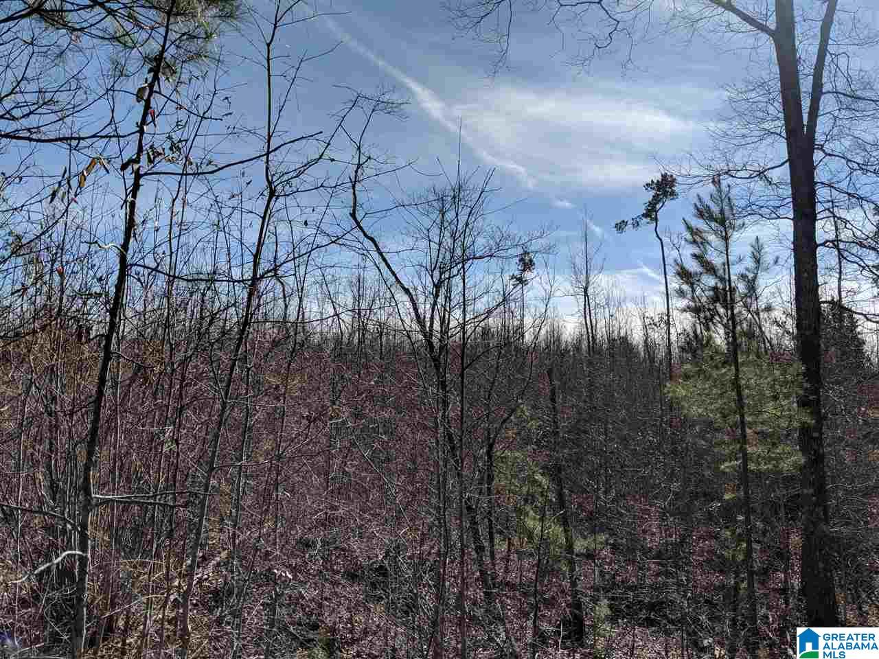 266 County Road, Unit 10 Wedowee, AL 36278 - Photo 3 of 6
