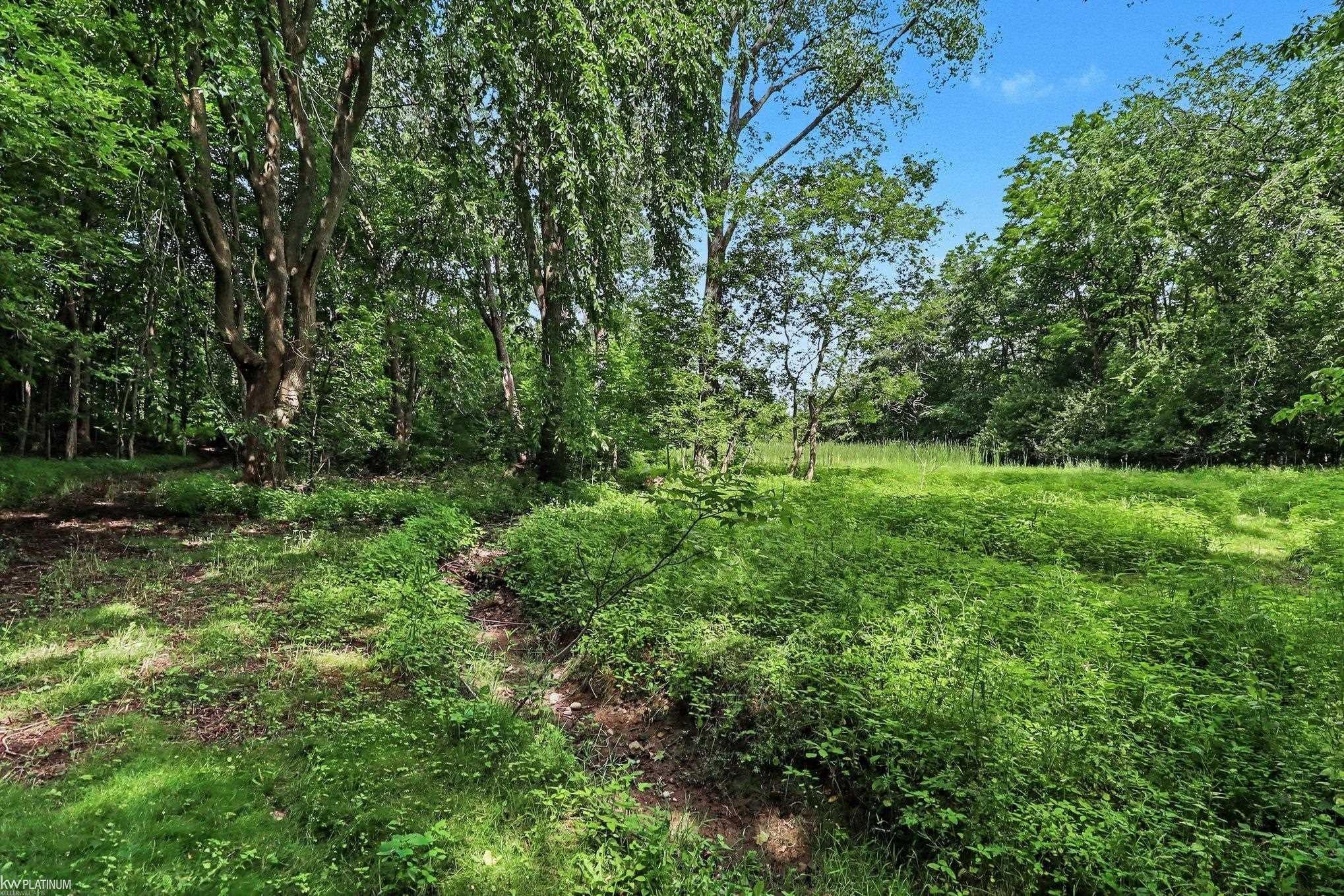 5918 Jeddo Road Jeddo, MI 48032 - Photo 29 of 44 Gallery Image 29
