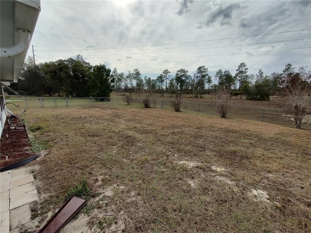 8274 Southwest 116th Street Ocala, FL 34481 - Photo 26 of 30 a view of a dry yard with trees