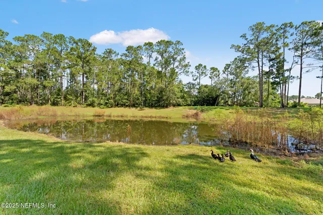 a view of a house with palm trees and a yard