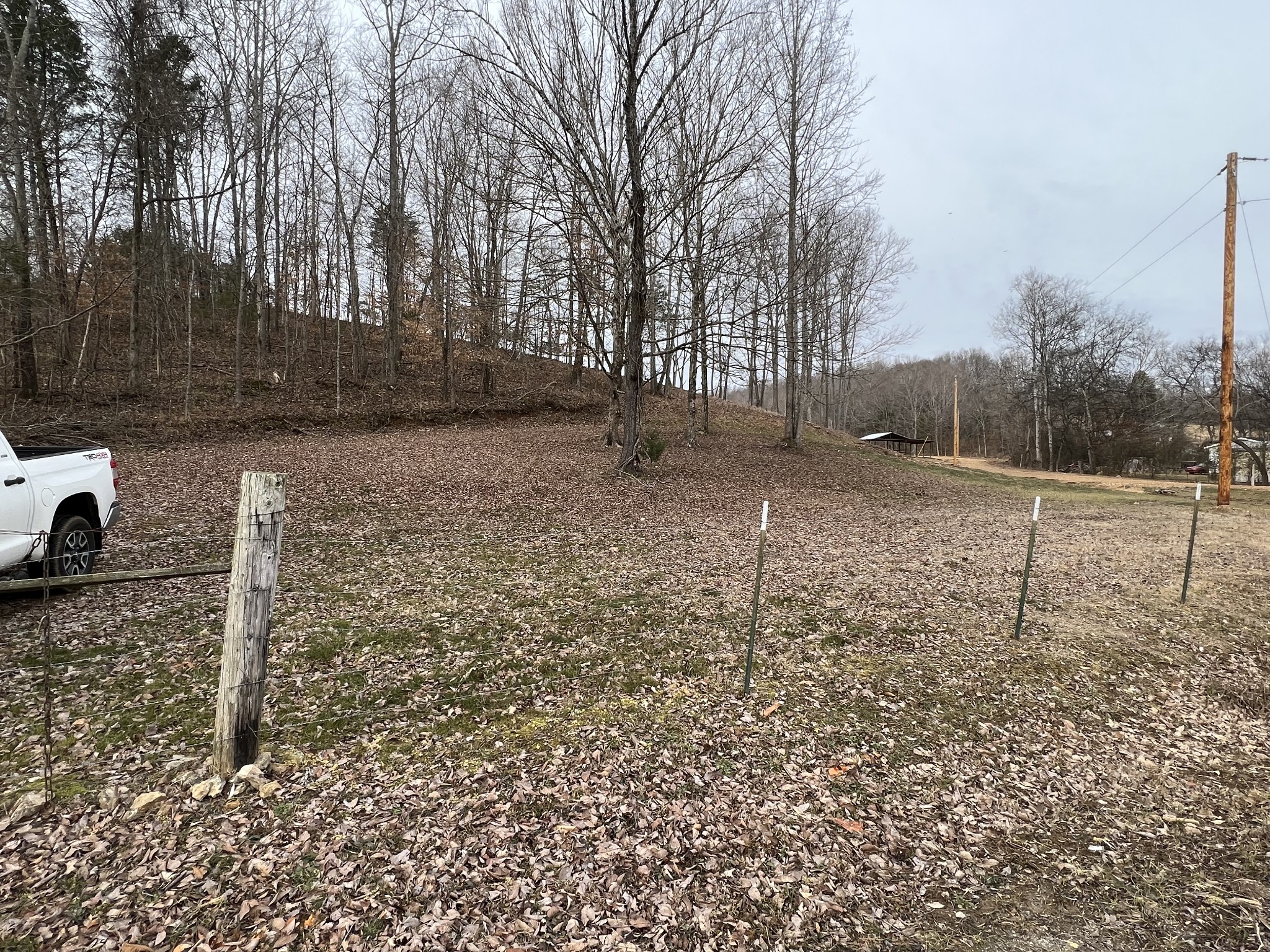 0 Wayland Springs Road Iron City, TN 38463 - Photo 3 of 12 a backyard of a house with lots of green space
