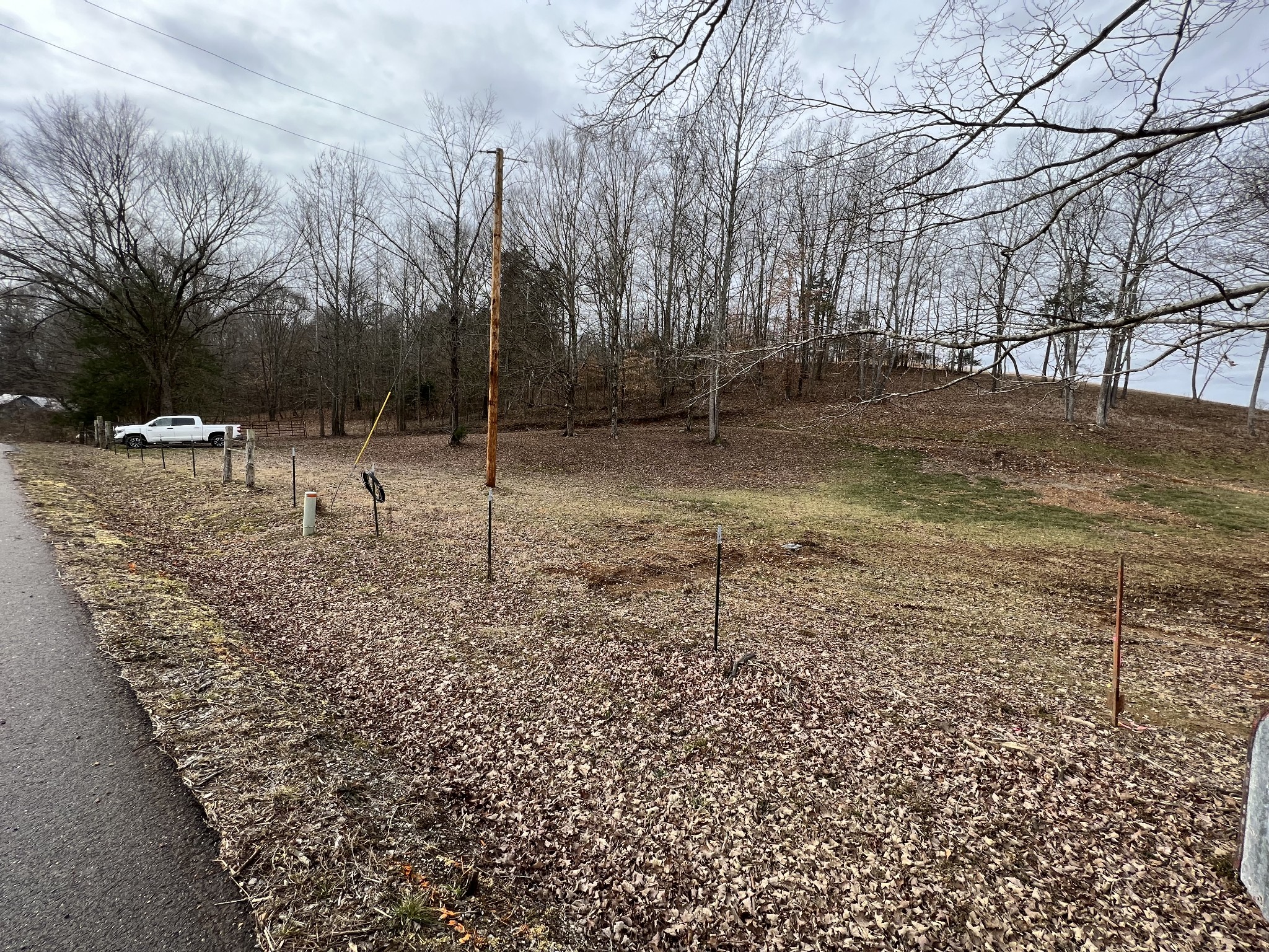0 Wayland Springs Road Iron City, TN 38463 - Photo 4 of 12 a view of a yard with a tree