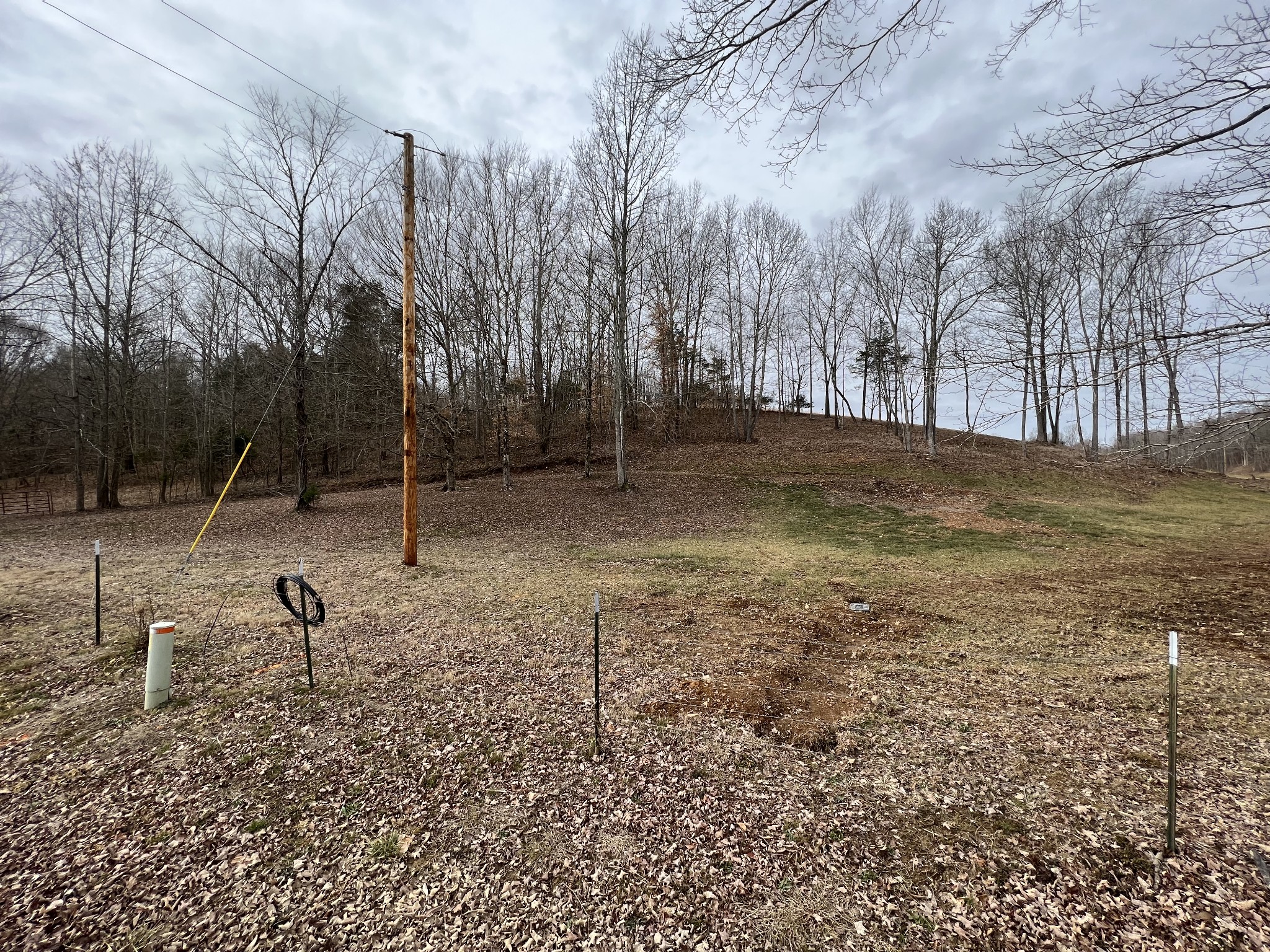 0 Wayland Springs Road Iron City, TN 38463 - Photo 5 of 12 a view of outdoor space with trees