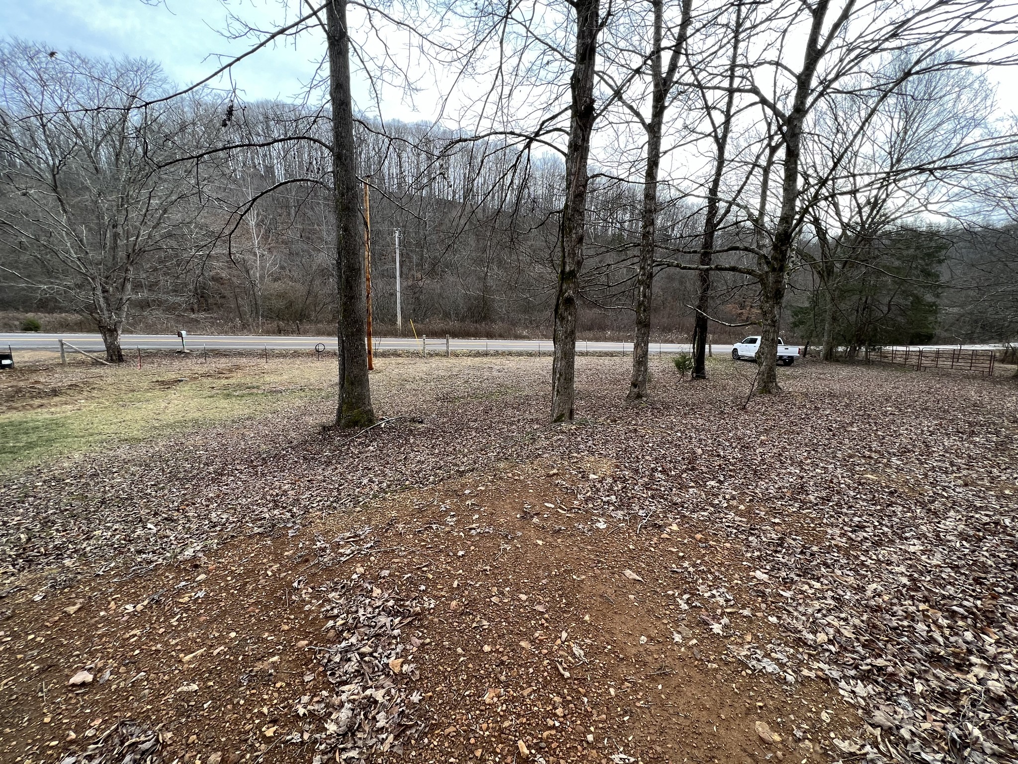 0 Wayland Springs Road Iron City, TN 38463 - Photo 6 of 12 a backyard of a house with lots of green space