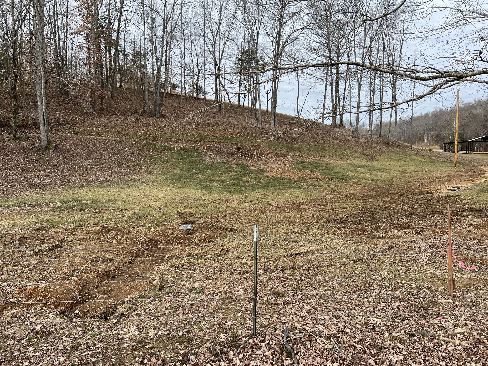 0 Wayland Springs Road Iron City, TN 38463 - Photo 7 of 12 a view of yard and tree