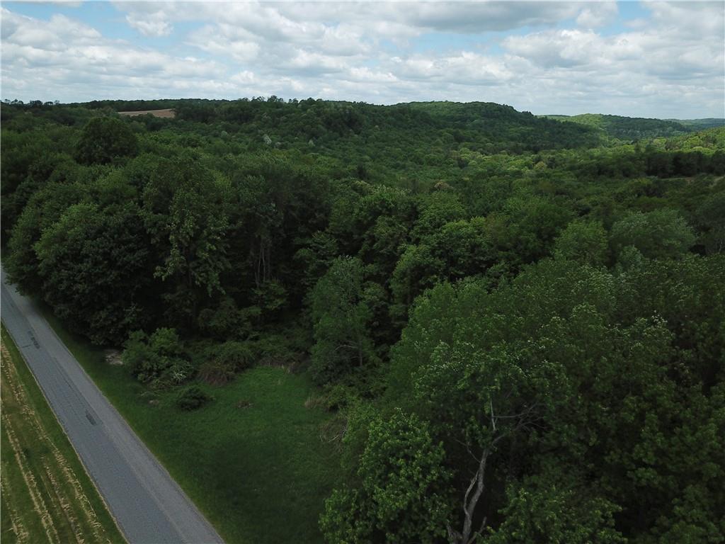 0 Wilgus Road Hillsdale, PA 15746 - Photo 4 of 27