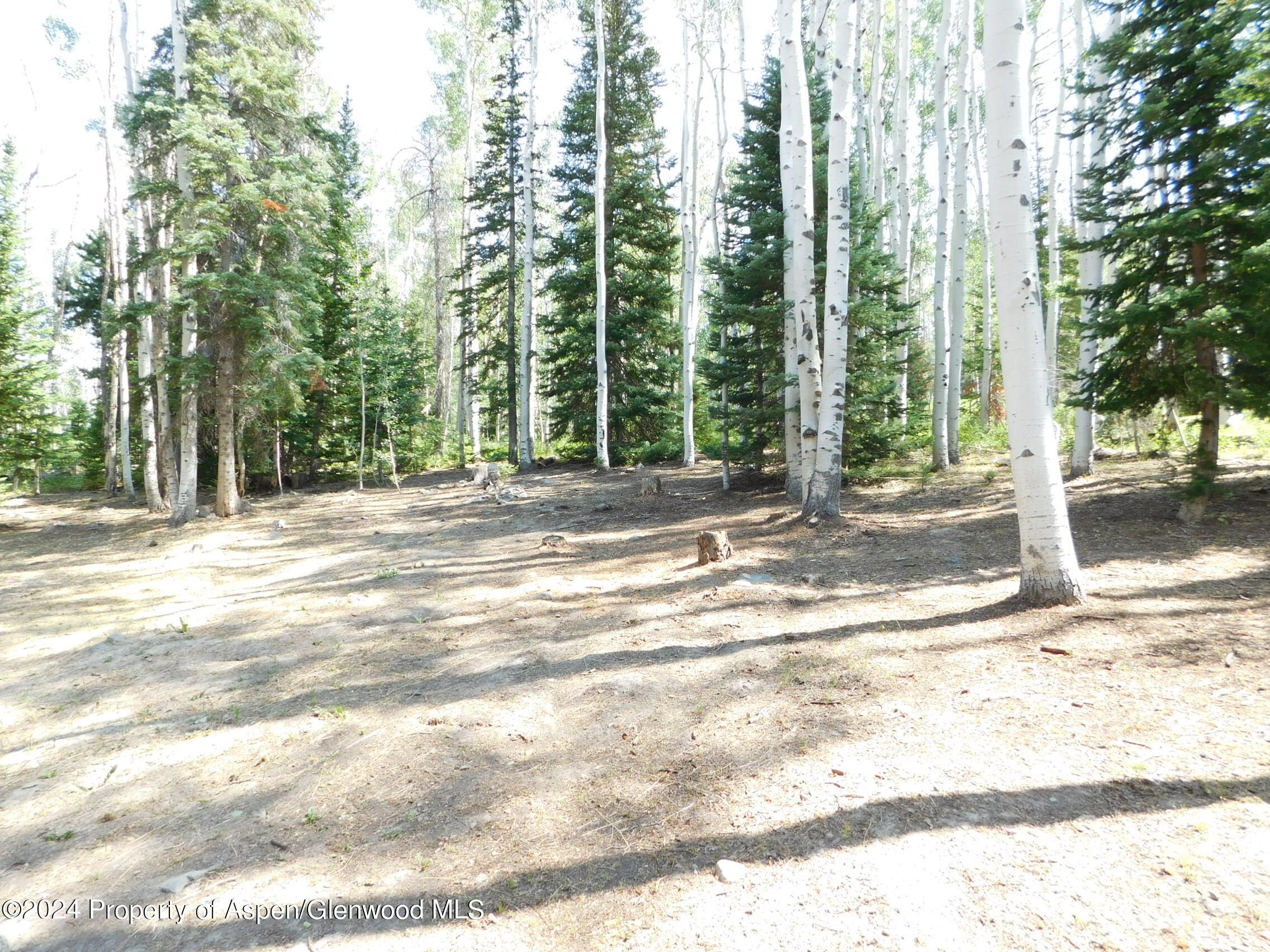 1349 Grackle Road Craig, CO 81625 - Photo 46 of 56 DSCN2975