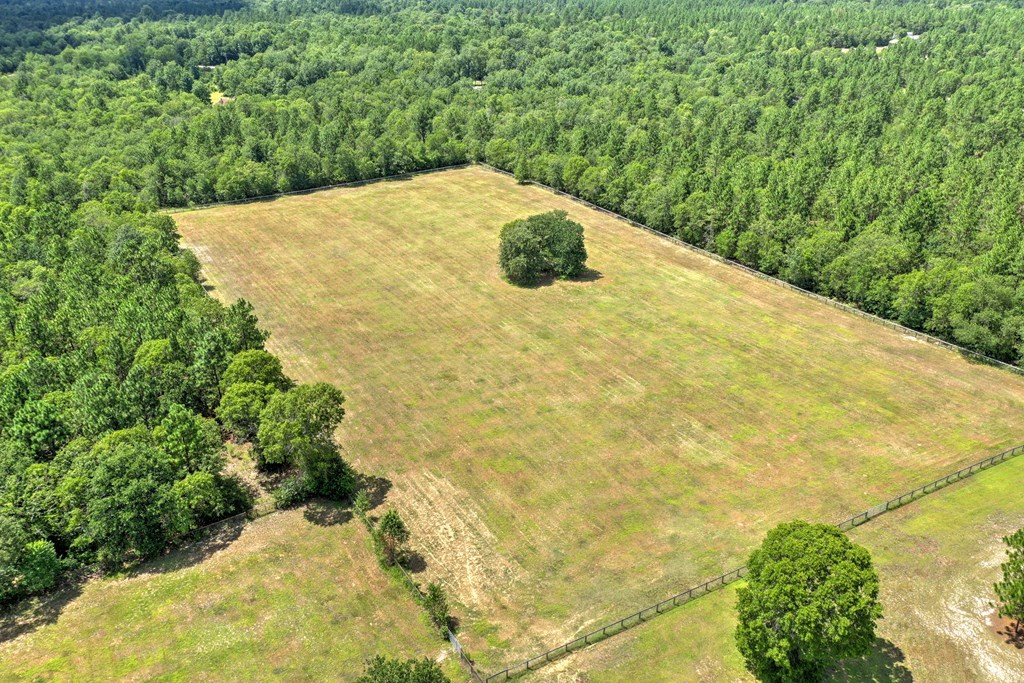 224 Cadle Crossing Road Windsor, SC 29856 - Photo 5 of 32