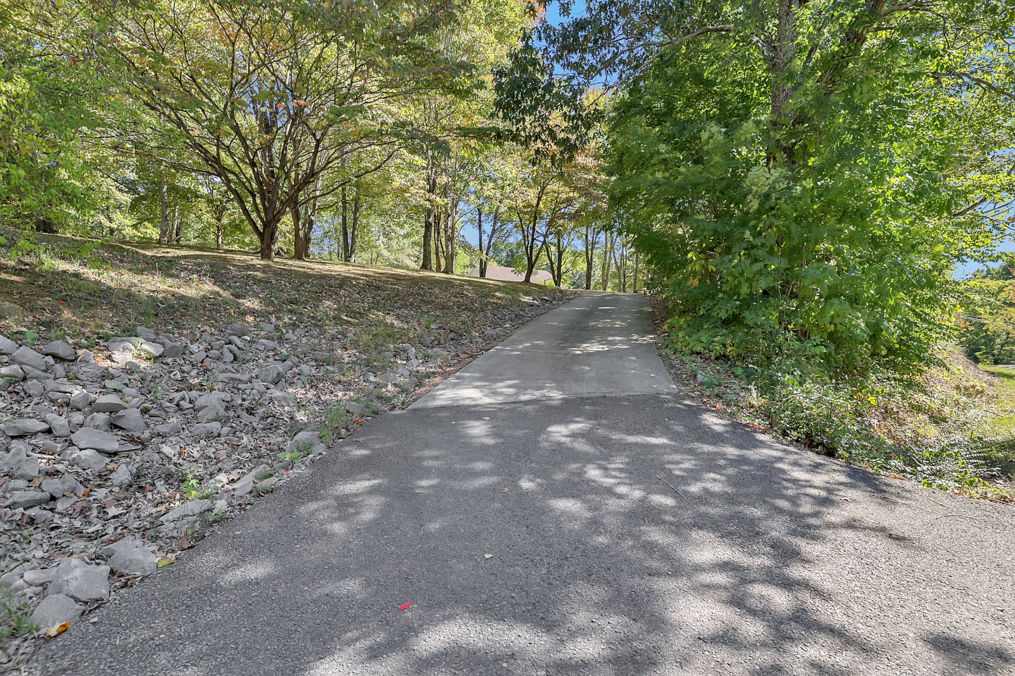 361 Harper Road Clarksville, TN 37043 - Photo 3 of 63