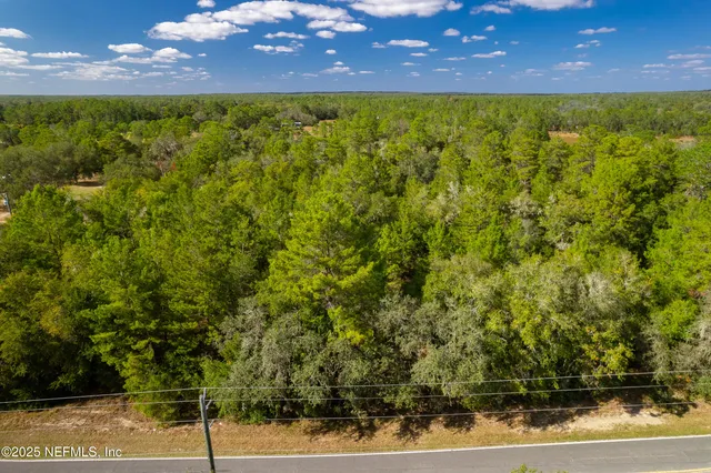 a view of a yard with plants