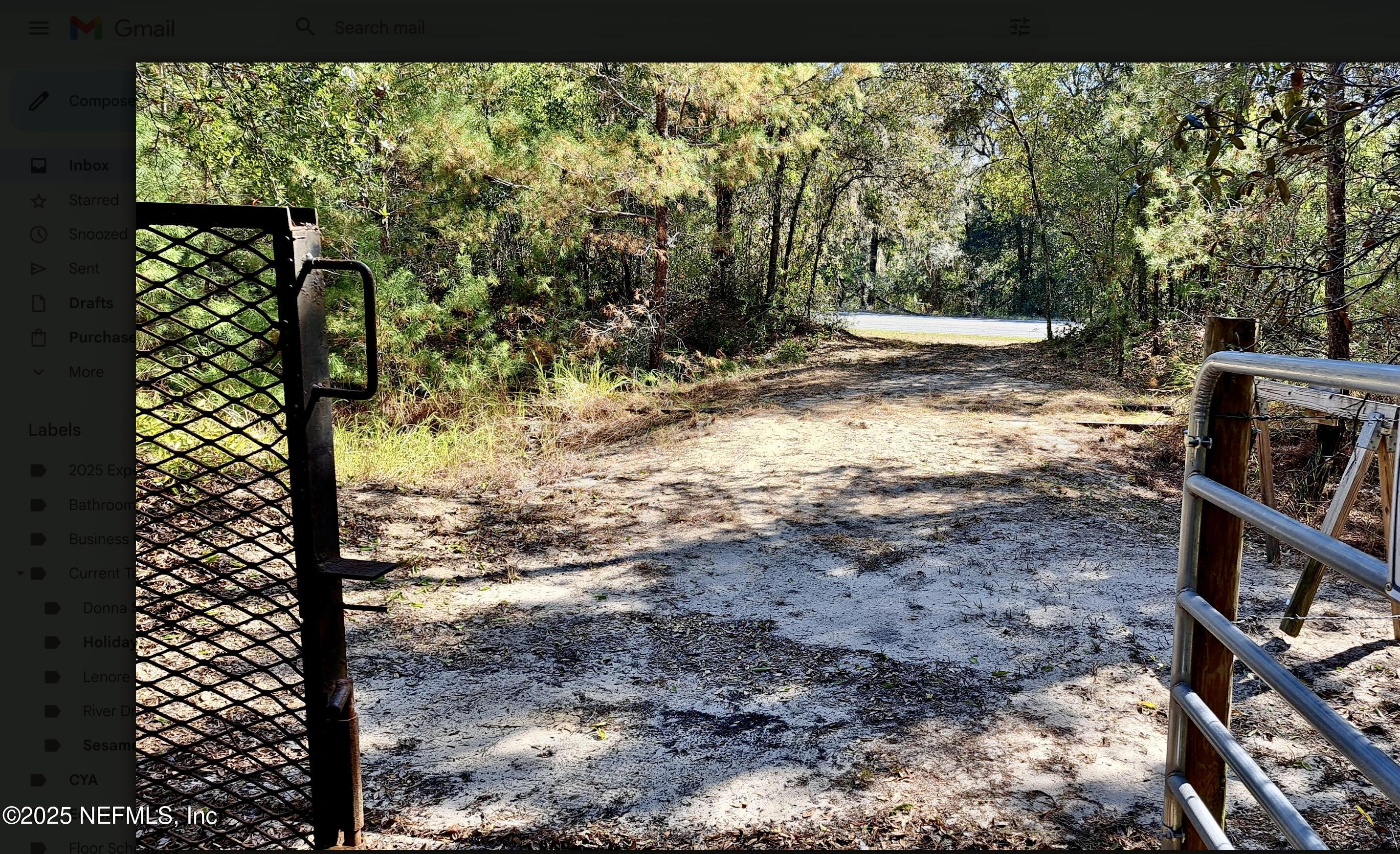 126 Keuka Cemetary Road Interlachen, FL 32148 - Photo 6 of 6 a view of a yard with plants