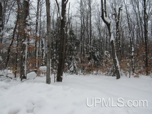 16 Mile Lake Road Munising, MI 49862 - Photo 8 of 16