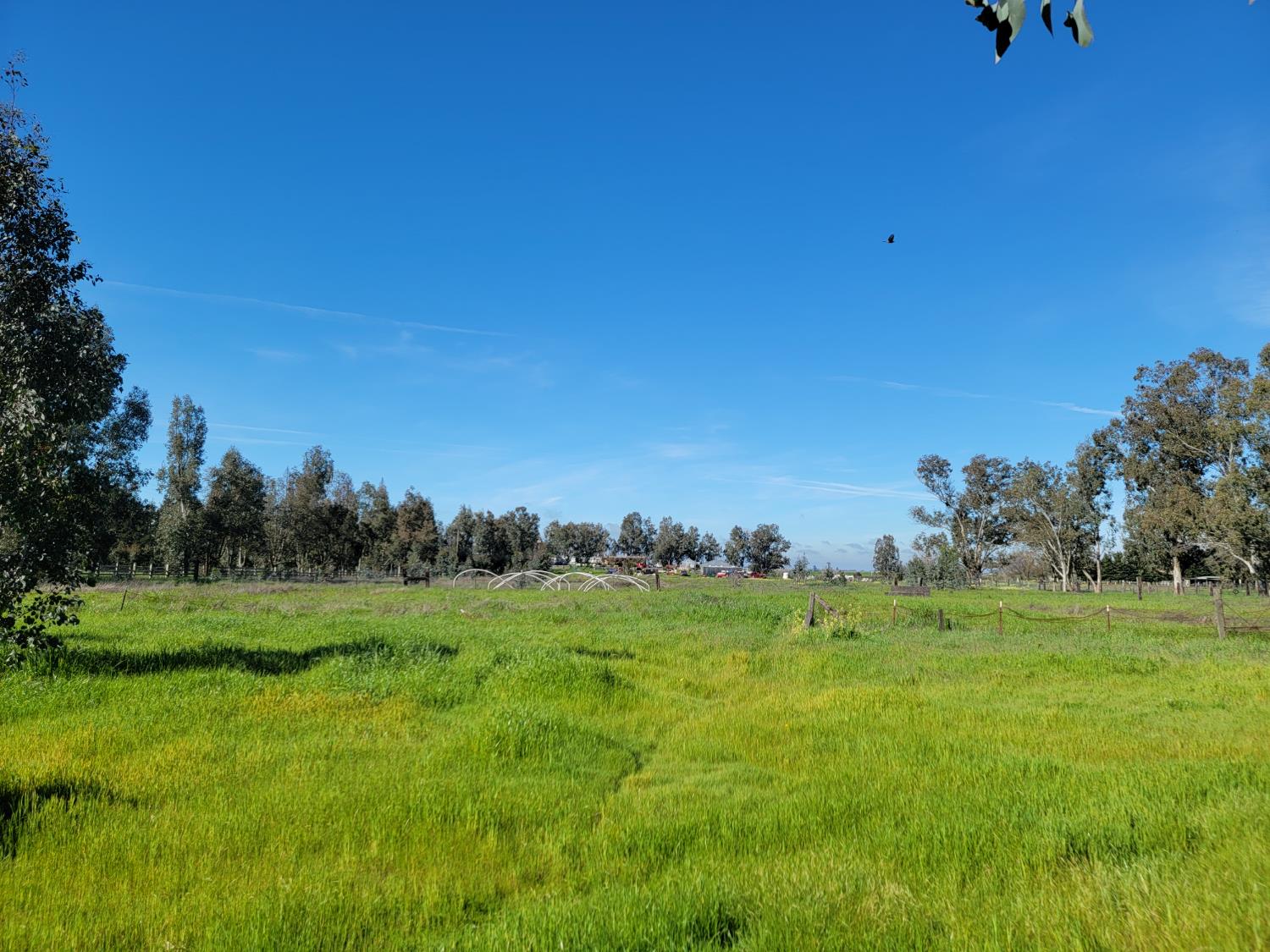 12234 Clay Station Road Herald, CA 95638 - Photo 33 of 43