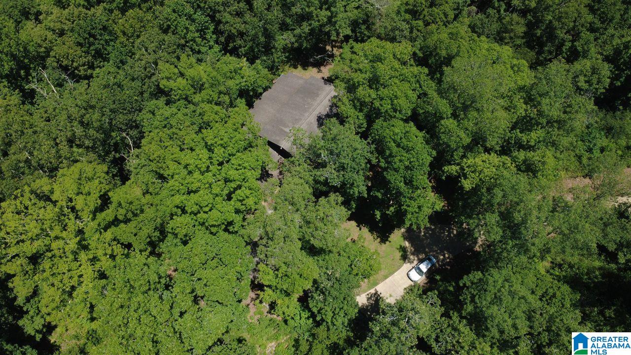 4274 Old Leeds Road Birmingham, AL 35213 - Photo 6 of 9