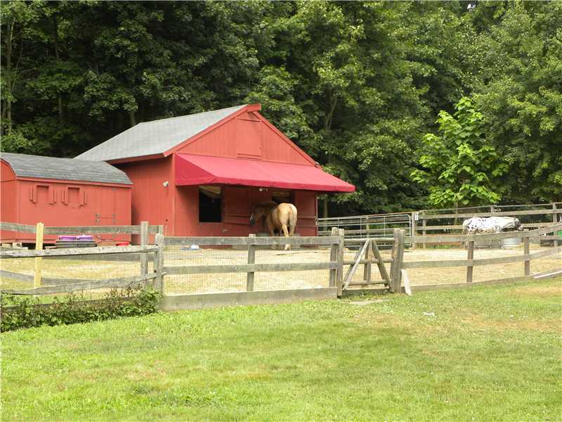 141 West Norwalk Road West Norwalk, CT 06850 - Photo 8 of 24 a view of a house with a yard