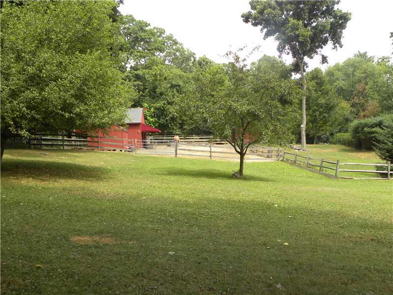 141 West Norwalk Road West Norwalk, CT 06850 - Photo 10 of 24 a view of yard with swimming pool and trees