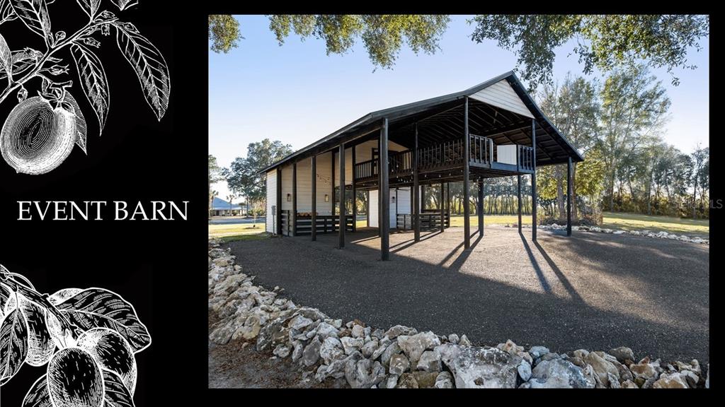 5443 Southwest 125th Circle Archer, FL 32618 - Photo 11 of 19 a view of outdoor space yard and patio