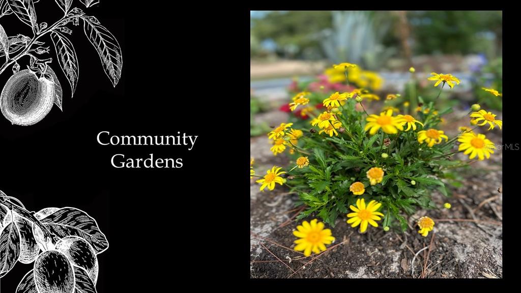 5443 Southwest 125th Circle Archer, FL 32618 - Photo 18 of 19 a view of a painting of a tree