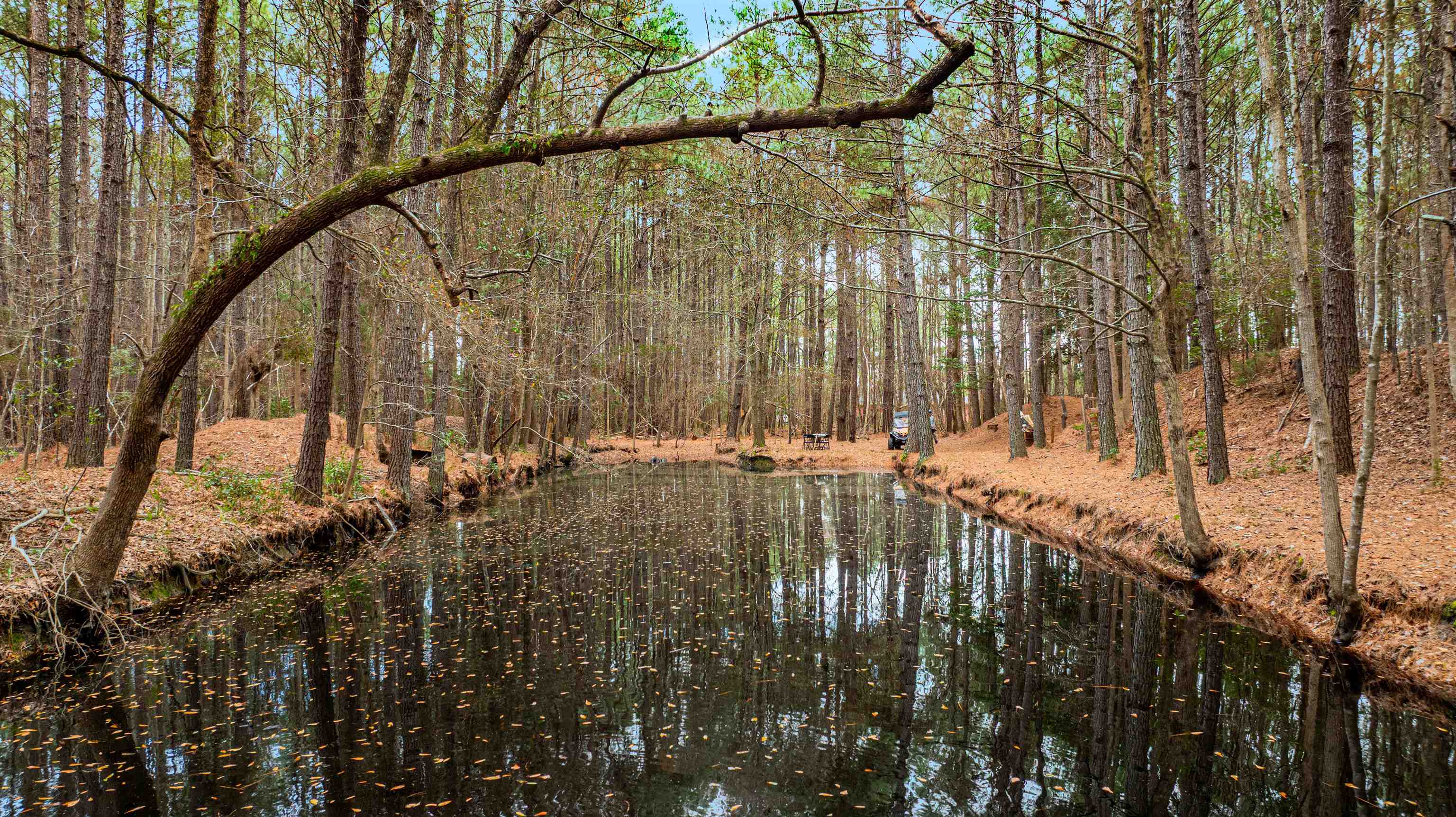 316 County Rd S-22-45 Hemingway, SC 29554 - Photo 34 of 39