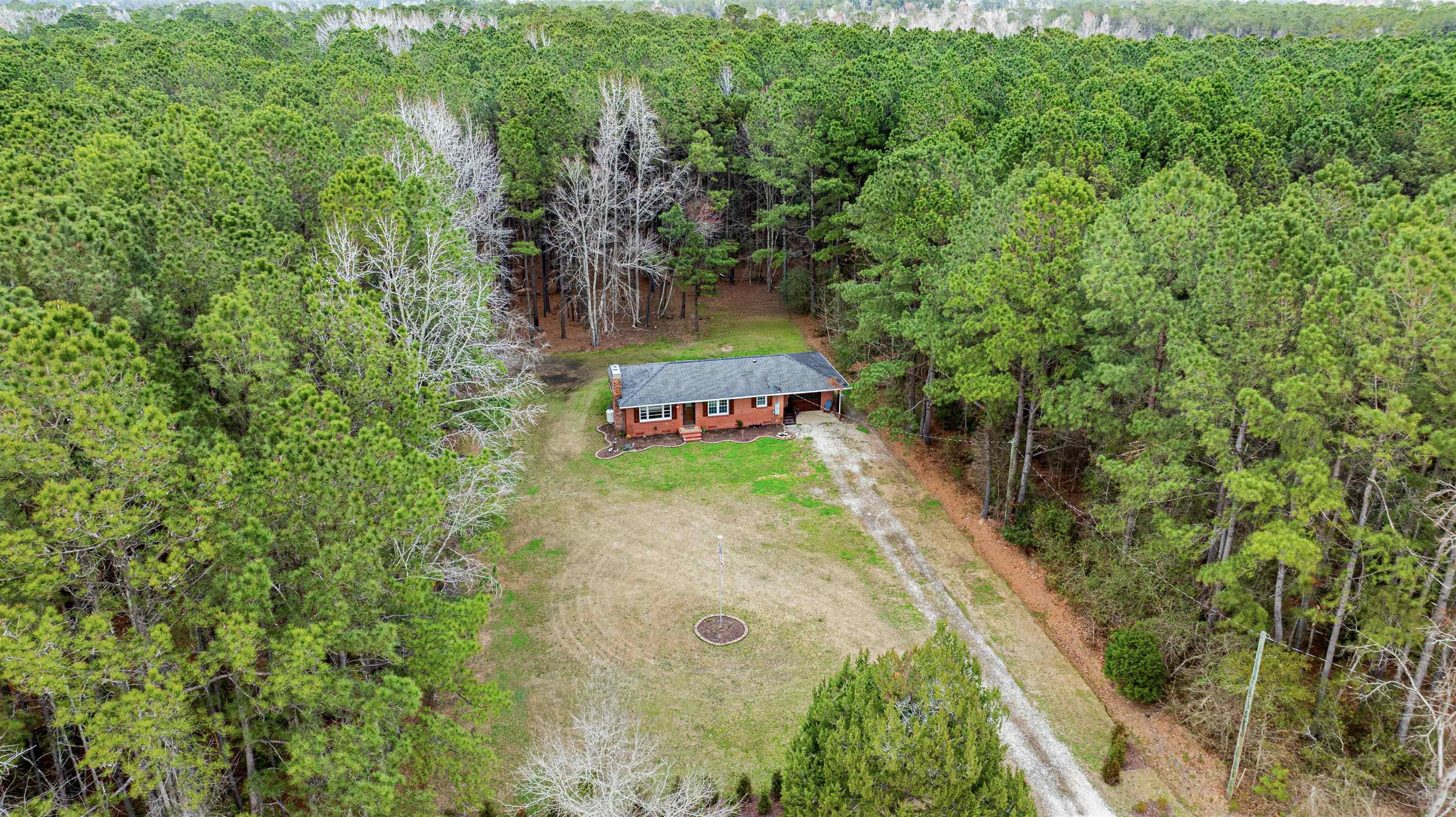 316 County Rd S-22-45 Hemingway, SC 29554 - Photo 4 of 39