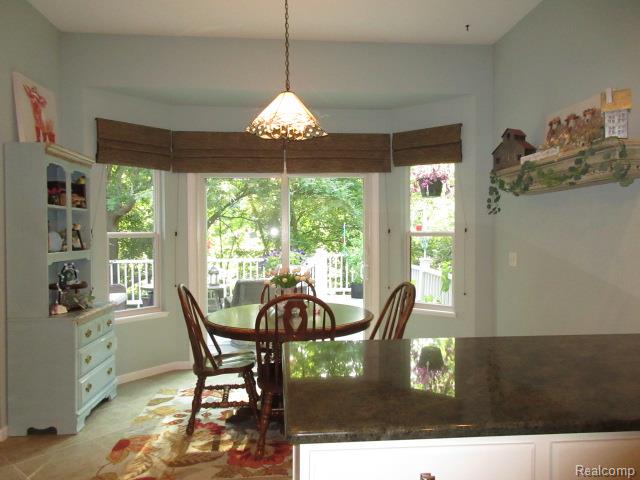 11356 Tall Shadows Court Pinckney, MI 48169 - Photo 13 of 29 Bay window in Breakfast nook area