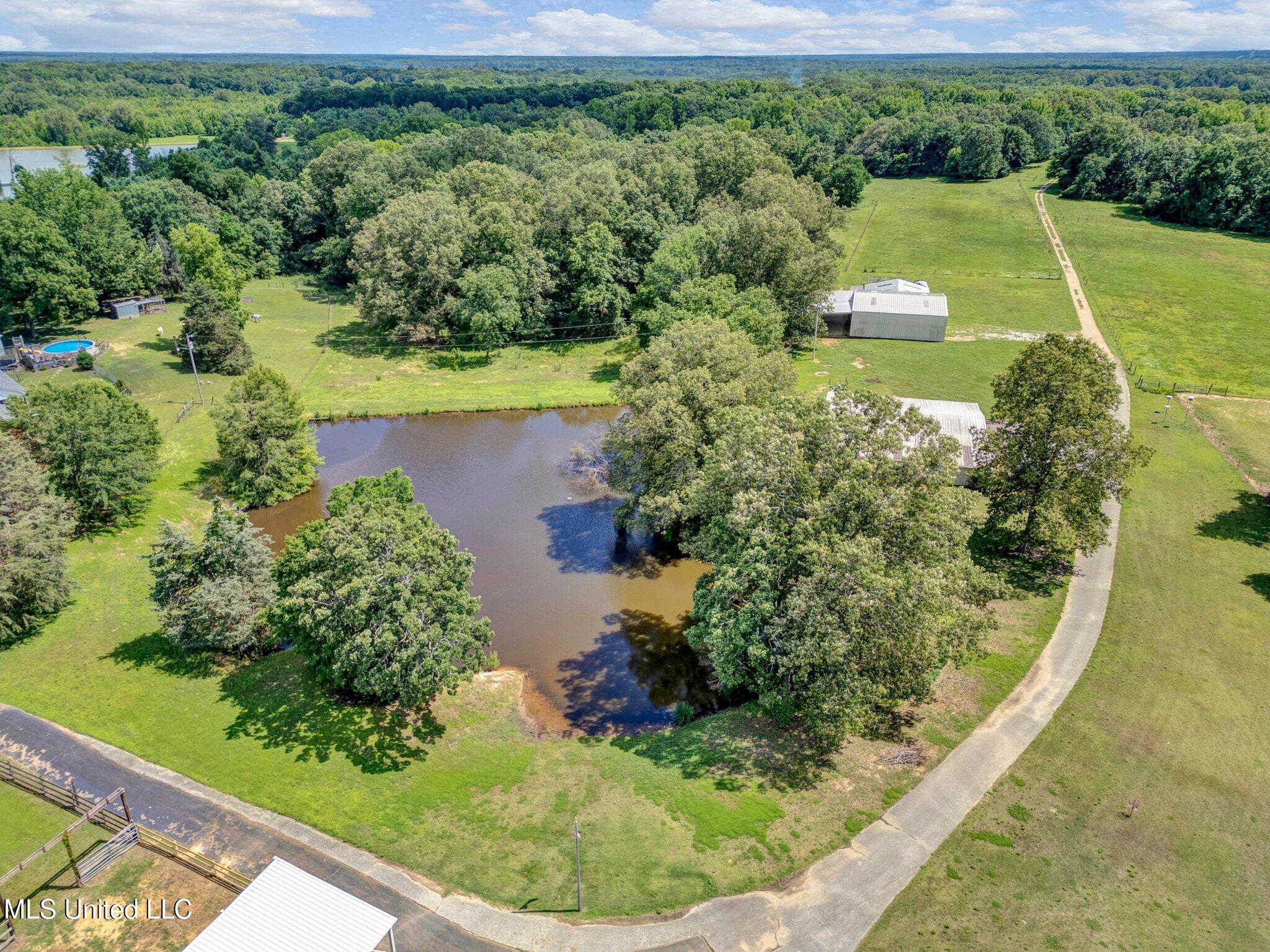 3260 Peyton Road Coldwater, MS 38618 - Photo 17 of 84 5-web-or-mls-DJI_0447