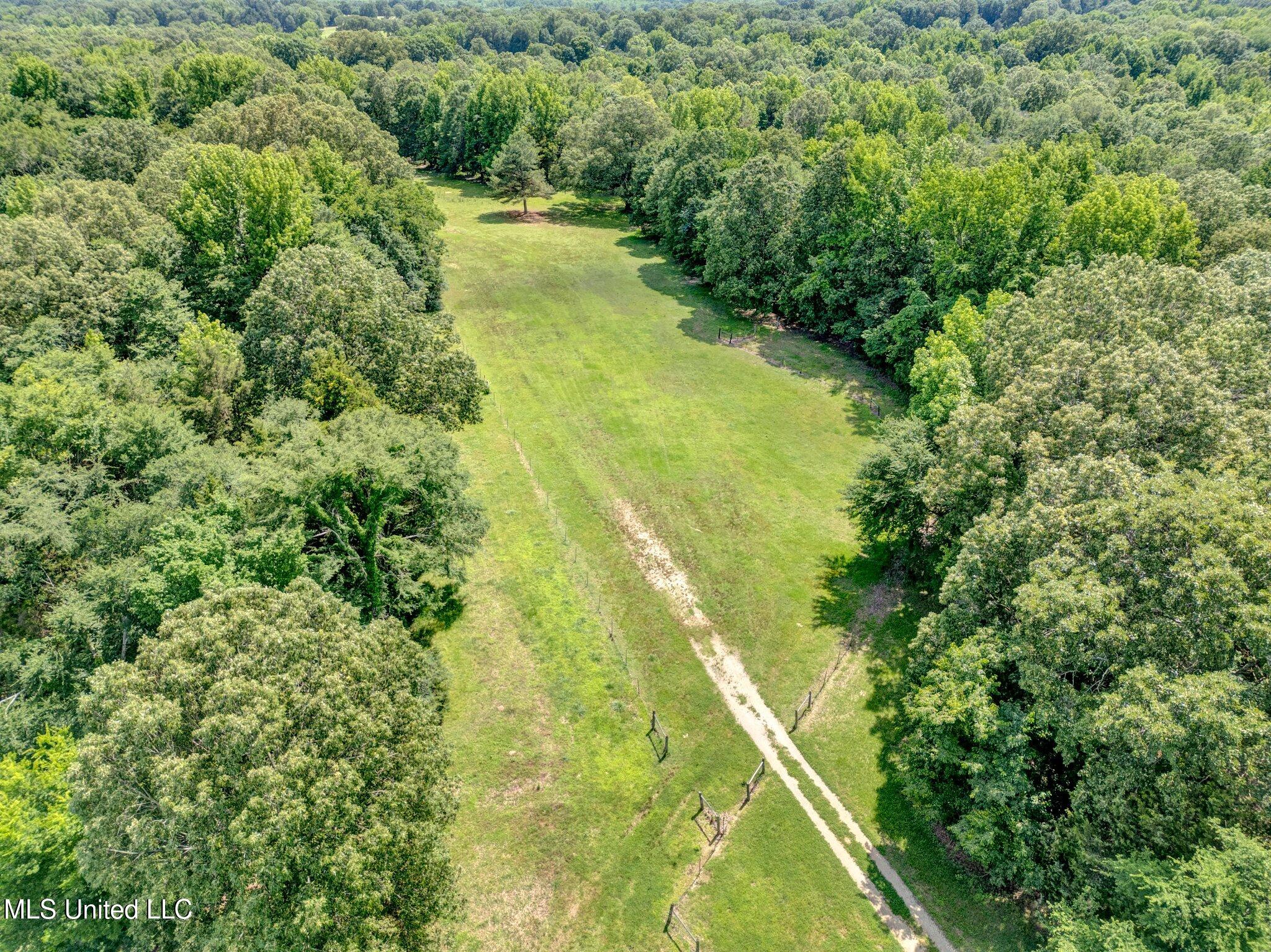 3260 Peyton Road Coldwater, MS 38618 - Photo 20 of 84 8-web-or-mls-DJI_0462