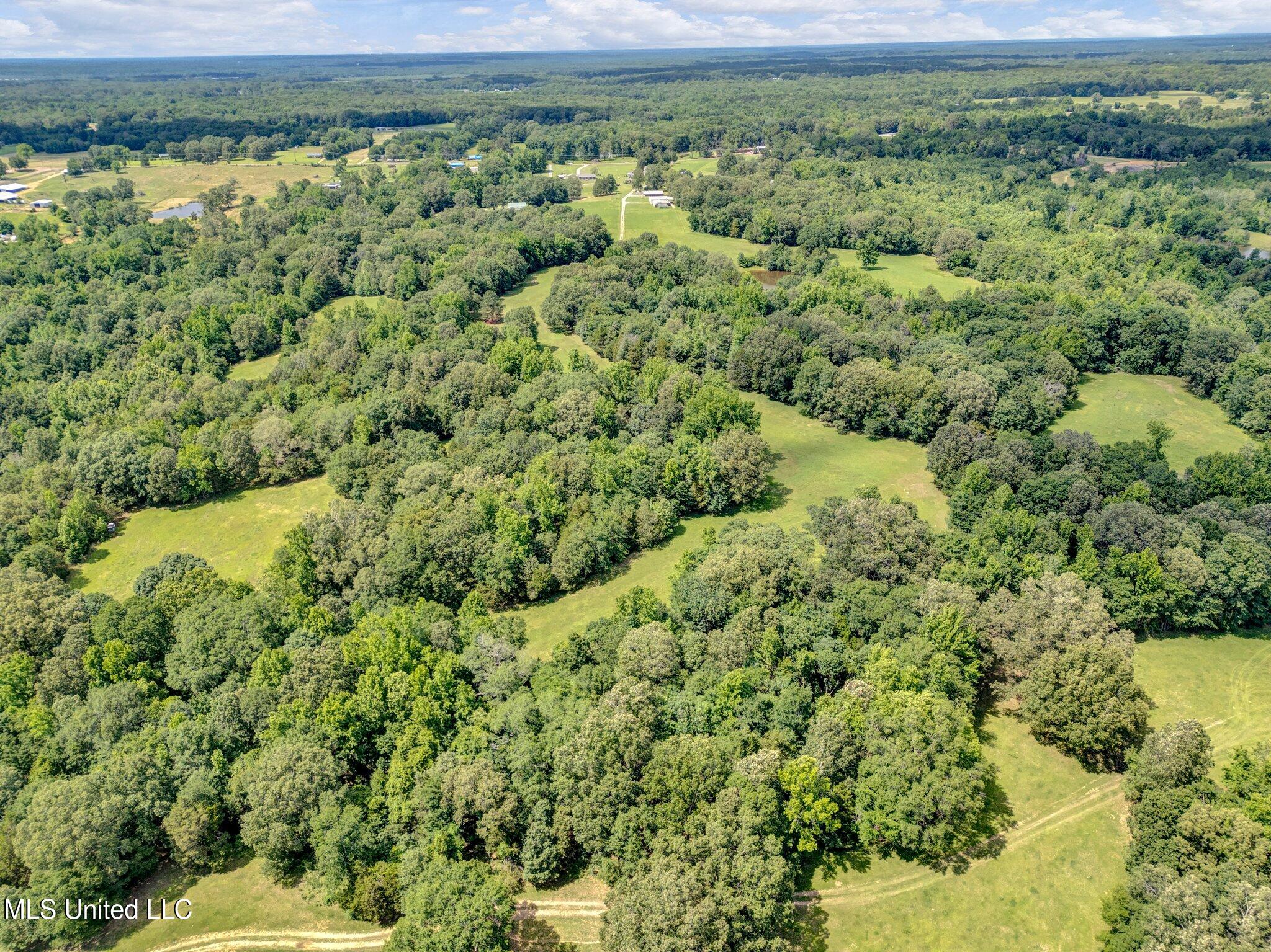 3260 Peyton Road Coldwater, MS 38618 - Photo 21 of 84 9-web-or-mls-DJI_0467