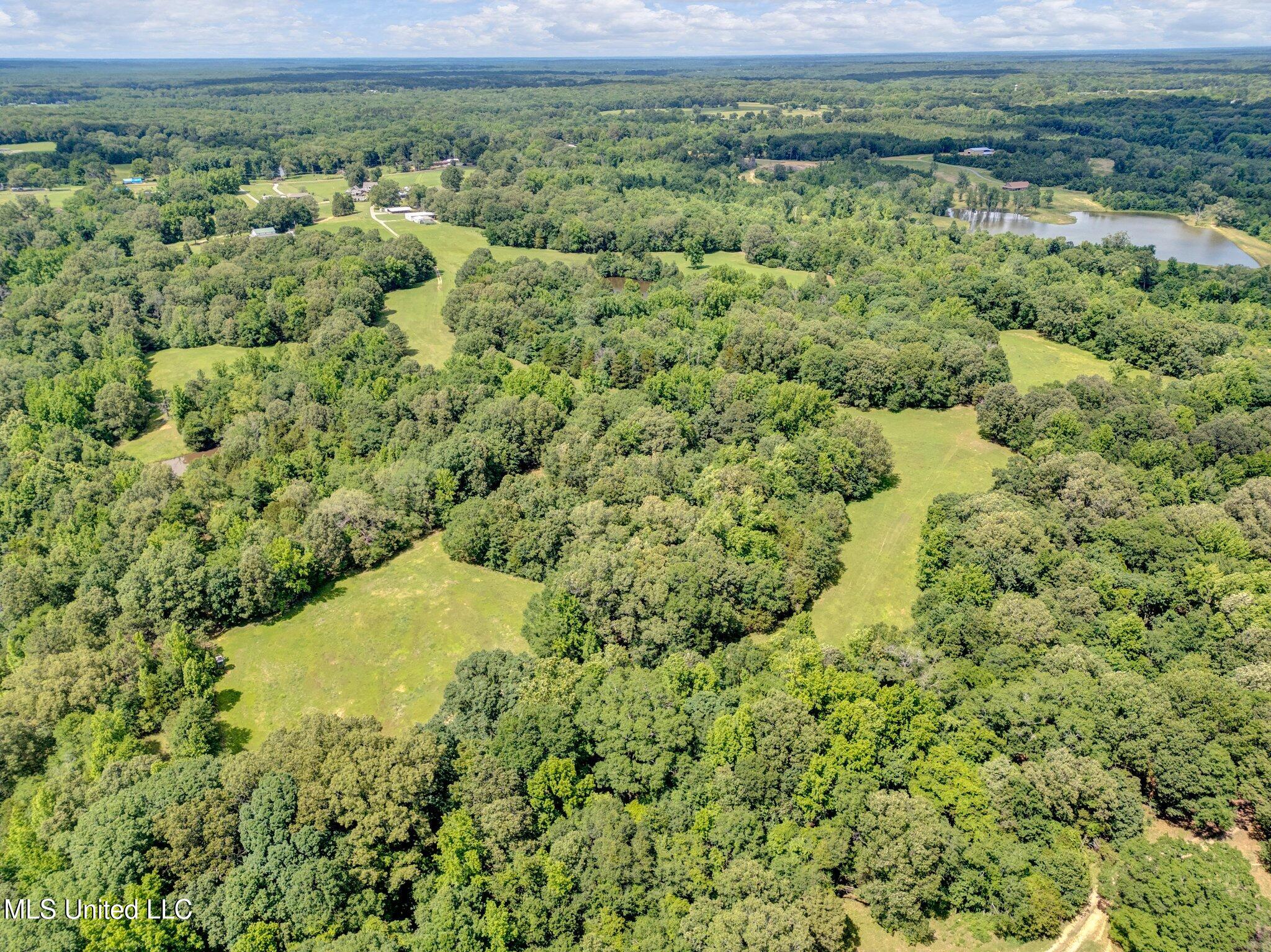 3260 Peyton Road Coldwater, MS 38618 - Photo 22 of 84 10-web-or-mls-DJI_0472