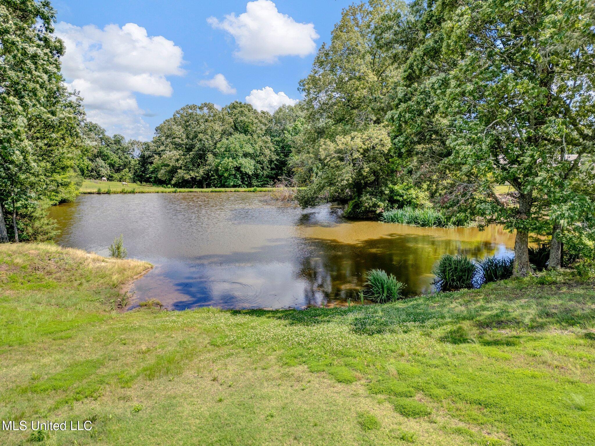 3260 Peyton Road Coldwater, MS 38618 - Photo 30 of 84 18-web-or-mls-DJI_0512