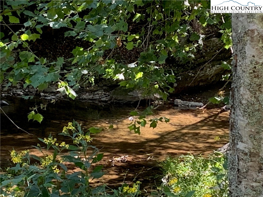 a view of a lake with a tree