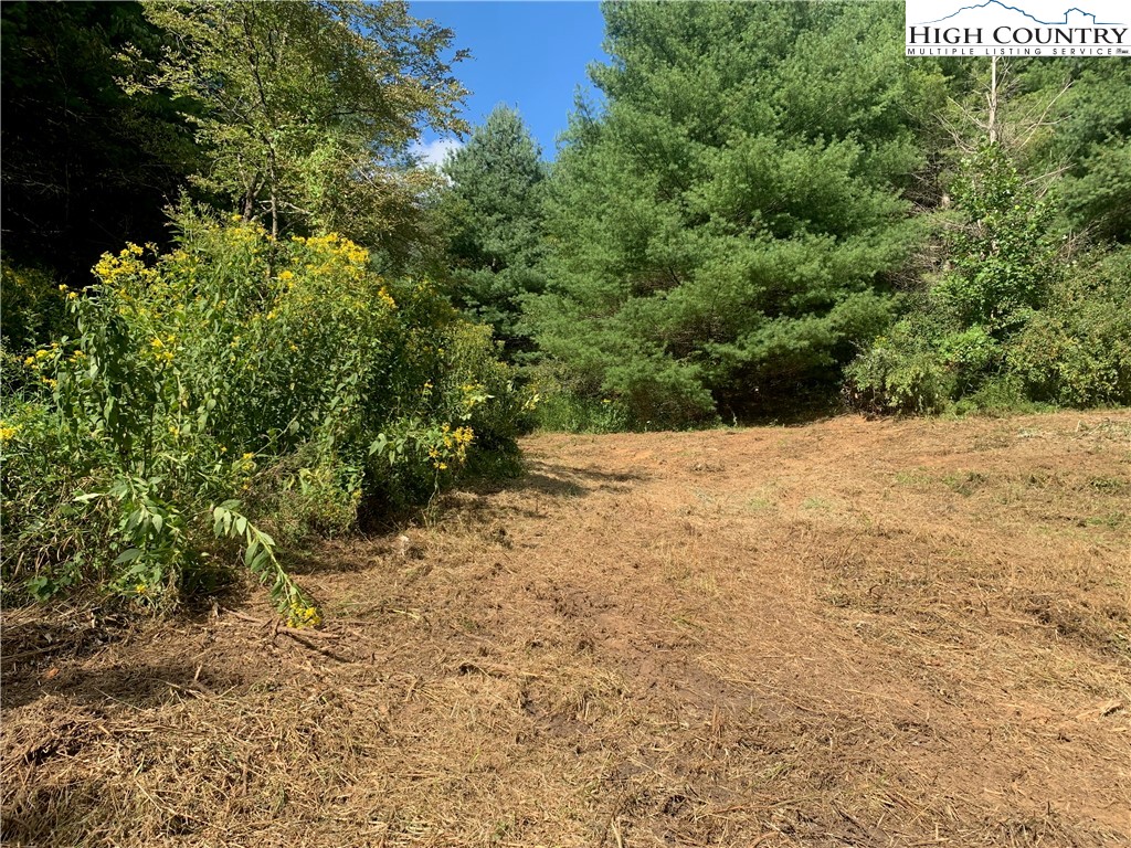 0 Big Windfall Road Lansing, NC 28643 - Photo 8 of 50 a view of a yard with a tree