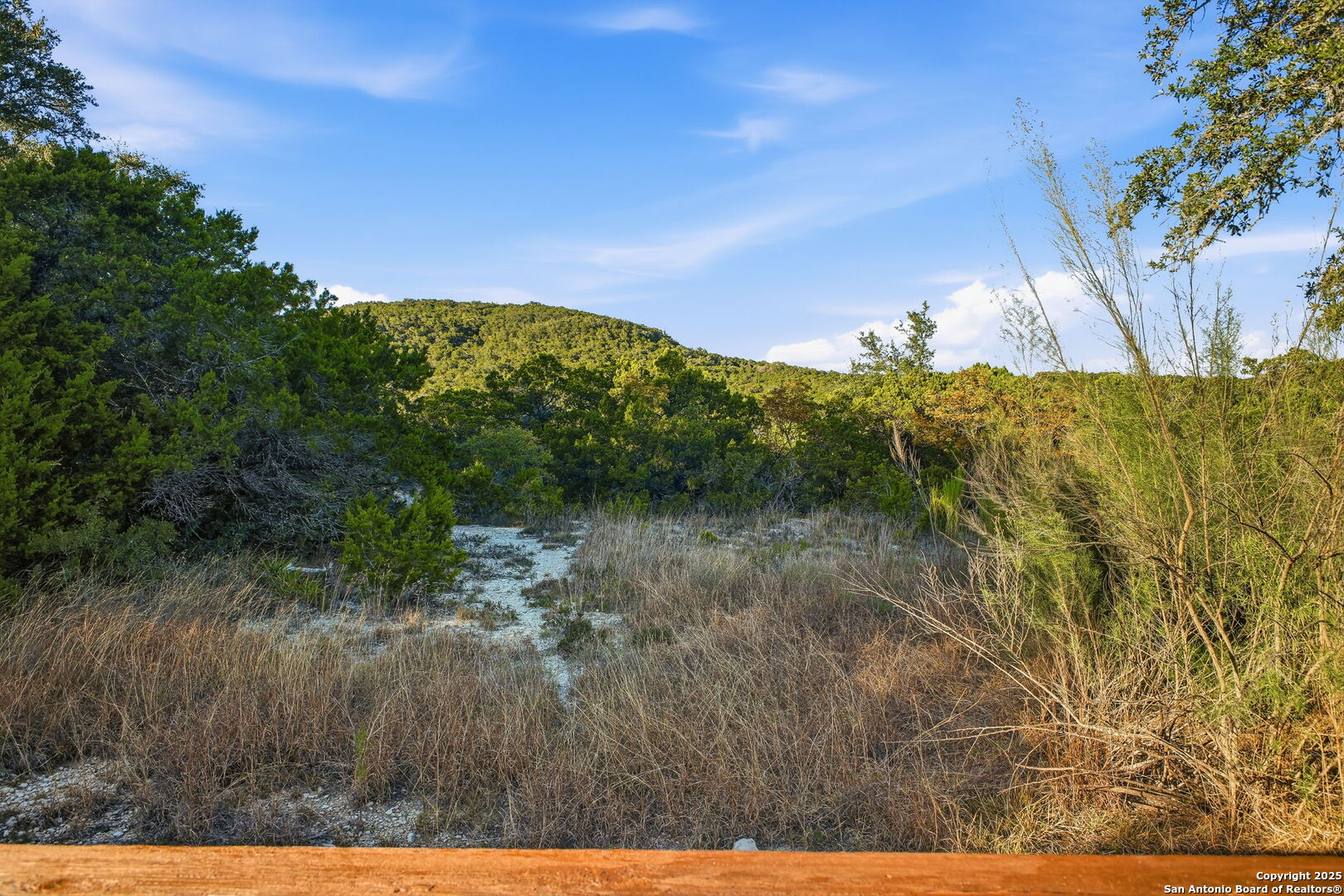 18668 Bandera Road Helotes, TX 78023 - Photo 12 of 52 a view of a yard