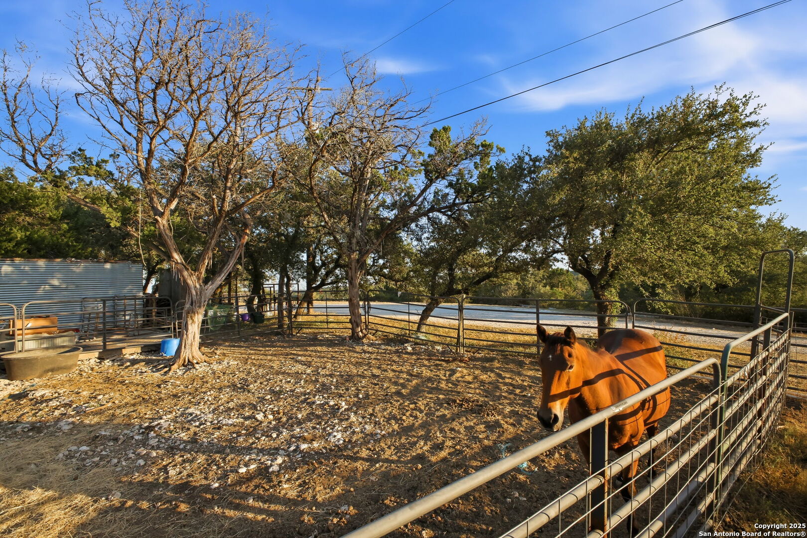 18668 Bandera Road Helotes, TX 78023 - Photo 5 of 52 a view of a tennis ground with large trees