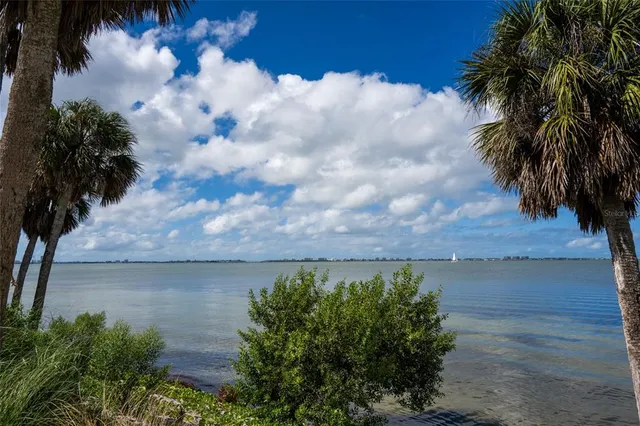 a view of outdoor space with palm trees
