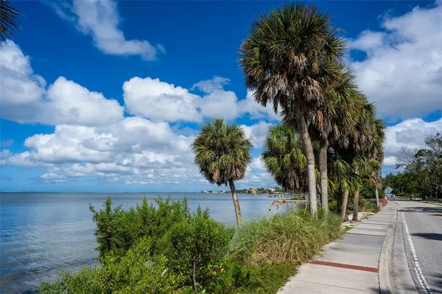a house with trees in the back