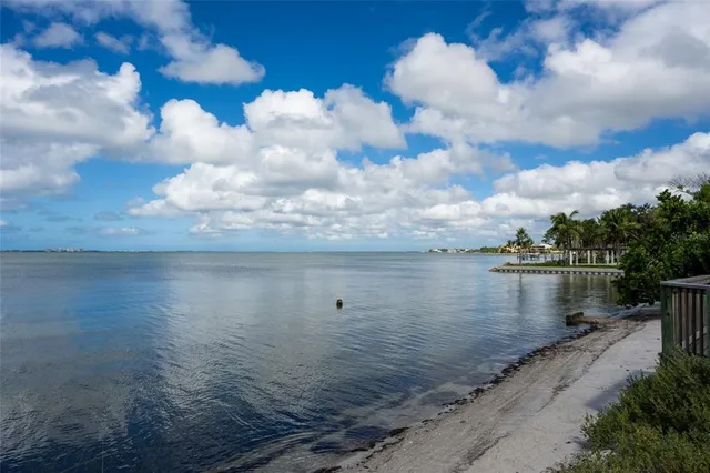 a view of a park with large trees and a wooden fence