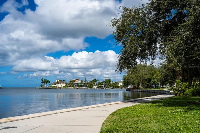 a view of a garden with a pathway