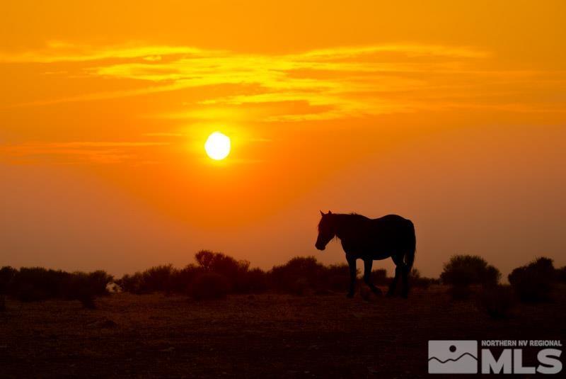 Tbd Tbd Pine Wellington, NV 89444 - Photo 5 of 5 Photo 5