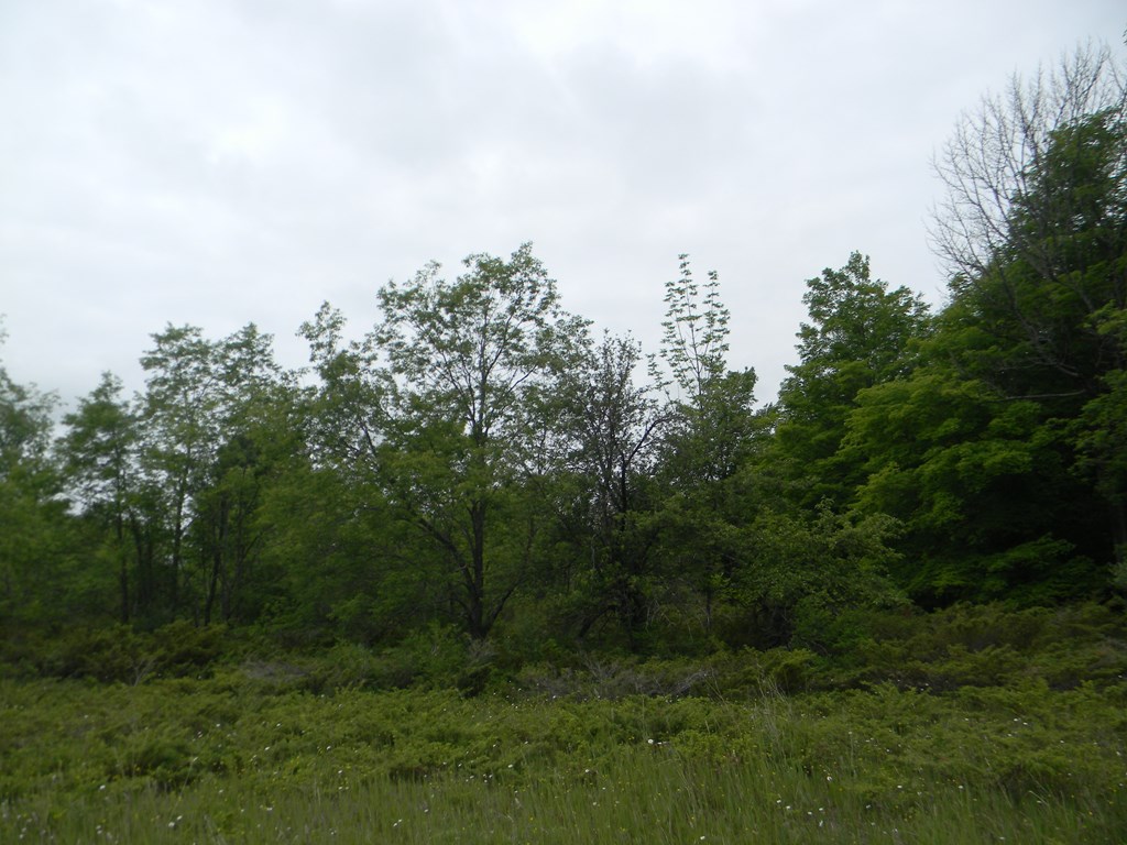 Rasner Way Fish Creek, WI 54212 - Photo 9 of 14