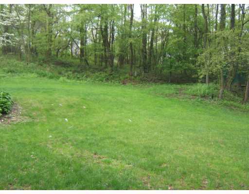 540 Center New Texas Road Plum, PA 15239 - Photo 16 of 18 Land/Lot.